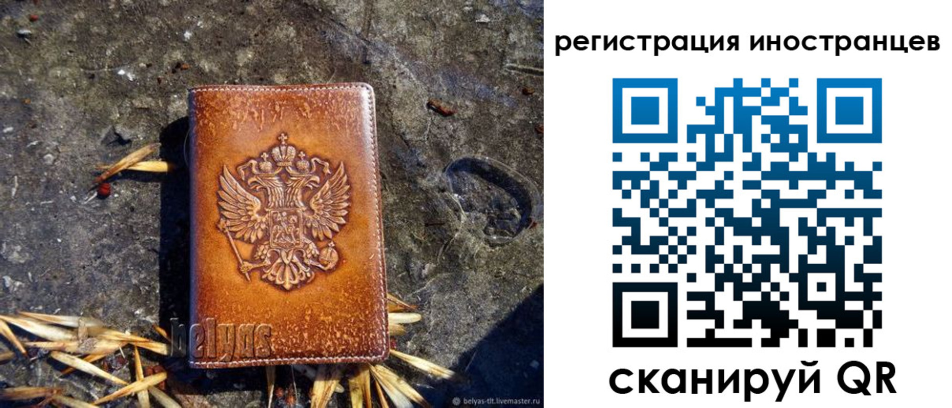 прописка регистрация в Видном